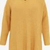 Oversized Truien Oversized Trui Dames Geel -Dameskleding Verkoop Winkel 304202df429656afb6f6d11195dbfc3c