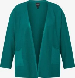 Ulla Popken Vesten Gebreid Vest Dames Groen