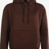 Hoodies Sweatshirt Balina Dames Bruin -Dameskleding Verkoop Winkel 6bcd992977ffa0226ef137c0c4308415