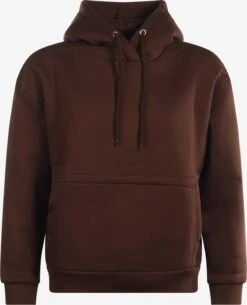 Hoodies Sweatshirt Balina Dames Bruin