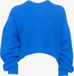 Oversized Truien Oversized Trui Senta Dames Blauw