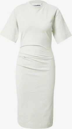 Tiger Of Sweden Jerseyjurken Jurk IZLY Dames Pastelgroen