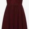 Cocktailjurken Cocktailjurk Dames Bordeaux -Dameskleding Verkoop Winkel 9241d3a92242adb7fb86017835d16a05