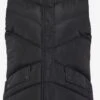 Threadbare Bodywarmers Bodywarmer Hazzi Dames Zwart -Dameskleding Verkoop Winkel bd87b2bb194b2d6831904daf423ebe3b