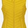 Gerry Weber Bodywarmers Bodywarmer Dames Geel -Dameskleding Verkoop Winkel bf893865e8e01a6a5265cc88524b5cc1