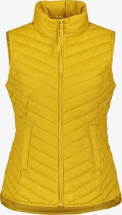 Gerry Weber Bodywarmers Bodywarmer Dames Geel