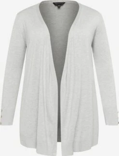 Vesten Gebreid Vest Dames Lichtgrijs